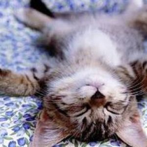 Meet your Posher, Bonnie